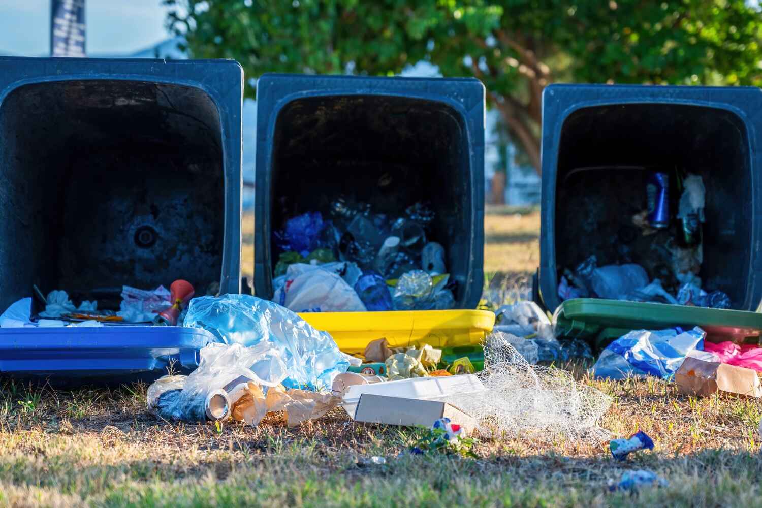 Best Office Junk Removal  in Fort Lupton, CO